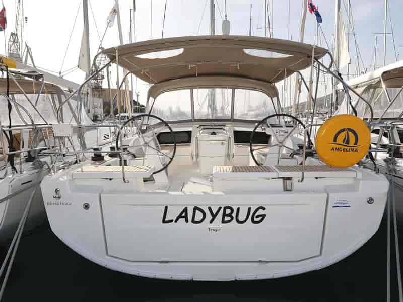 Photo of Ladybug, image 1 of 5