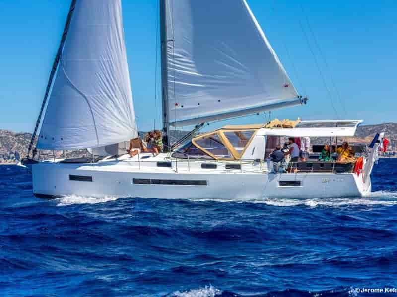 Photo of CYTISE , image 1 of 5