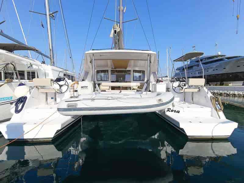 Photo of Rosa, image 1 of 5