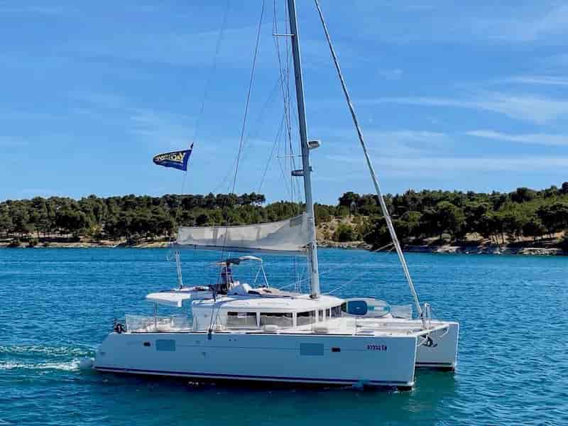 Photo of BAGIRA, image 1 of 5