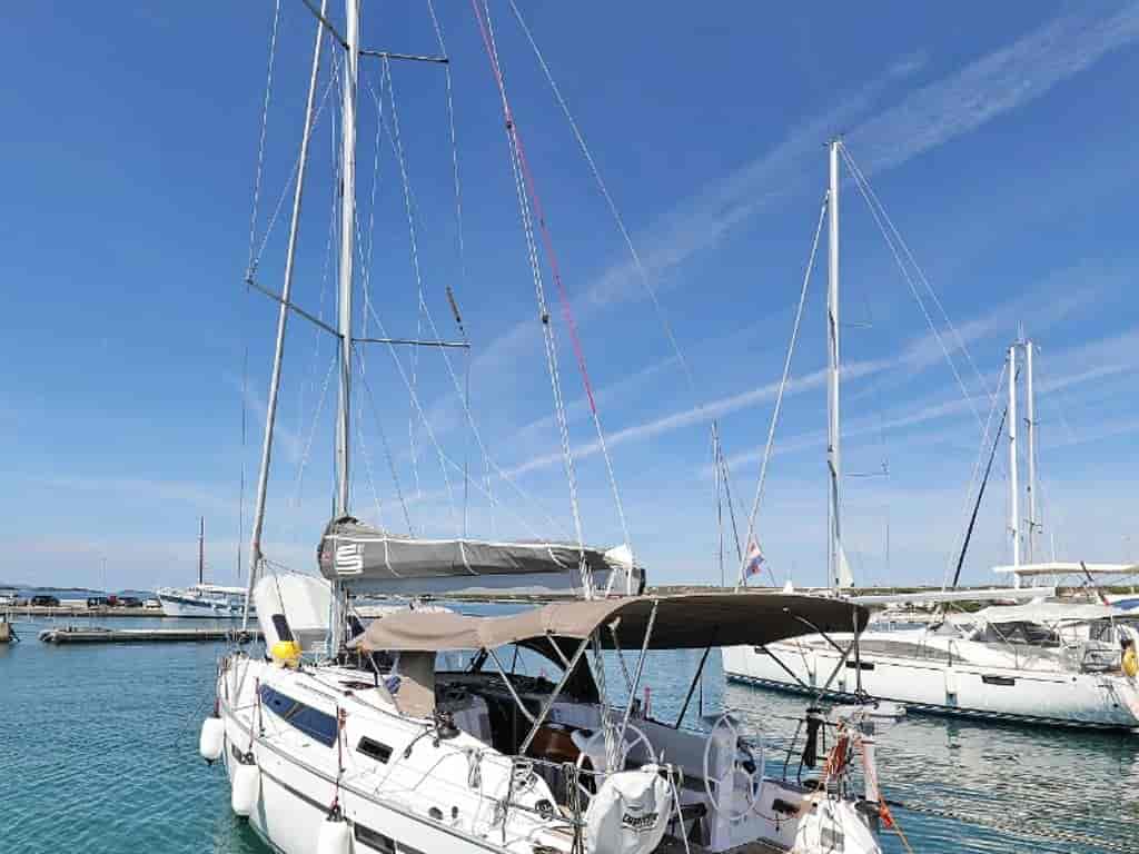 Photo 3 of Albatros