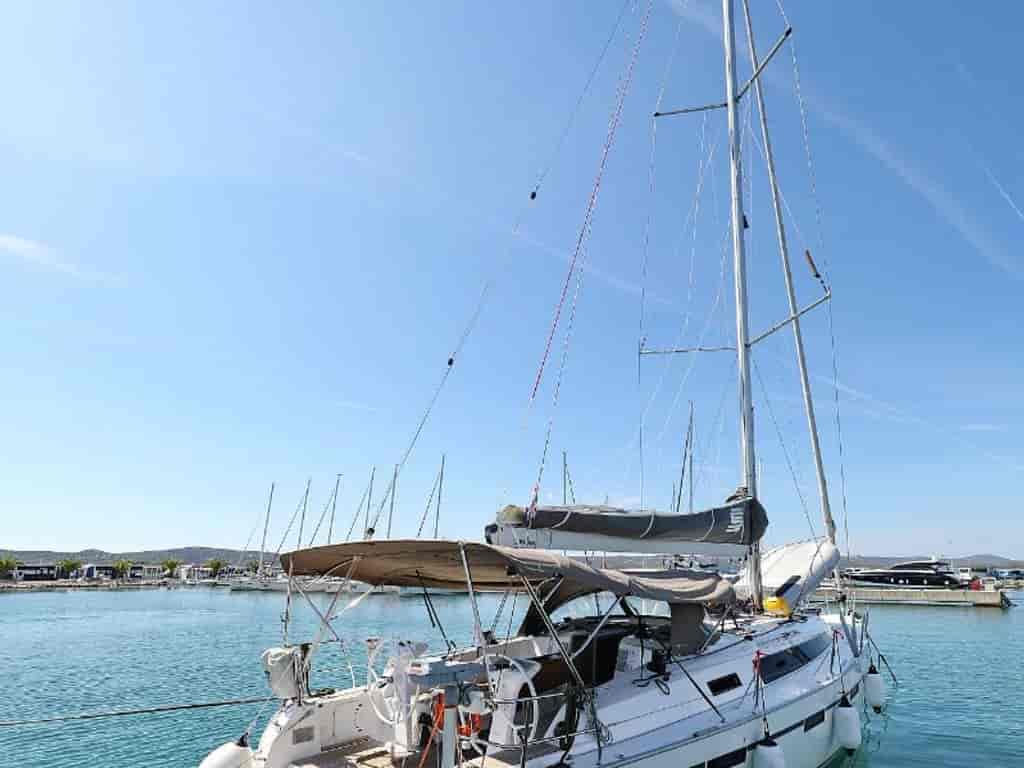 Photo 4 of Albatros