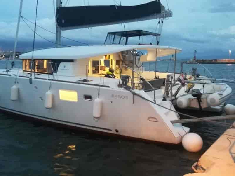 Photo of Aloha, image 1 of 5