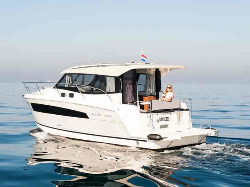 Photo of Wanderer, image 1 of 5