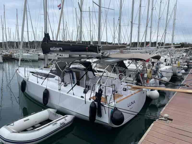 Photo of Luna, image 1 of 5