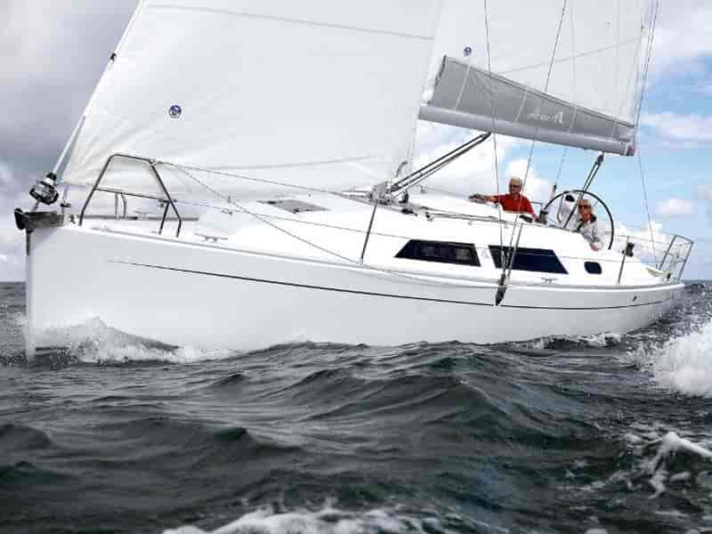 Photo of Selini, image 1 of 5