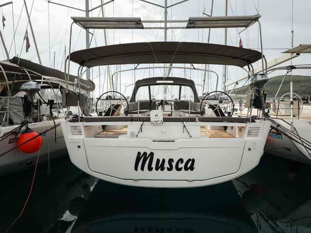 Photo 3 of Musca