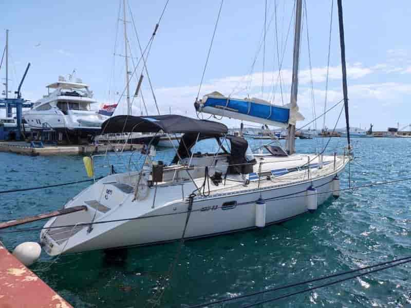 Photo of Gem, image 1 of 5