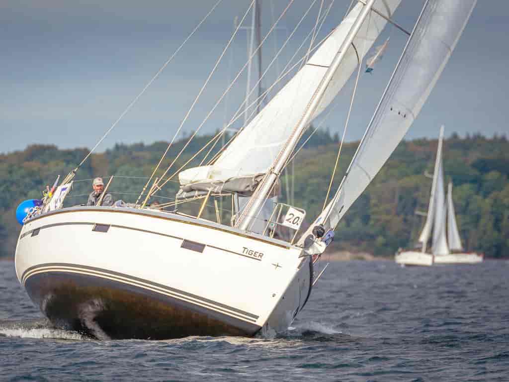 Boat picture 4