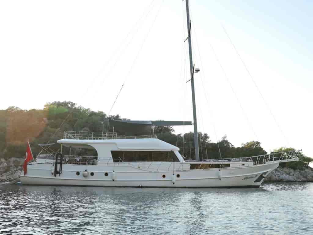 Photo 4 of Albatros M