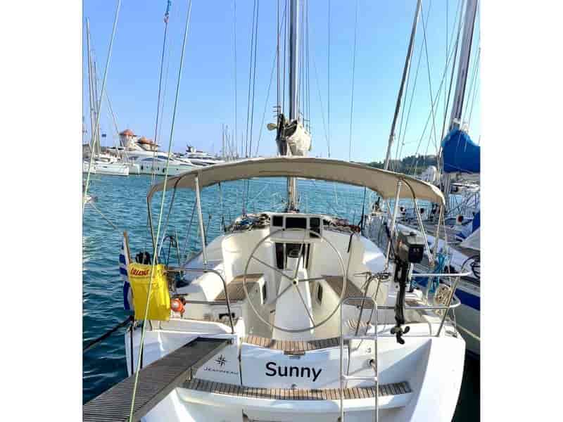Photo of Sunny, image 1 of 4