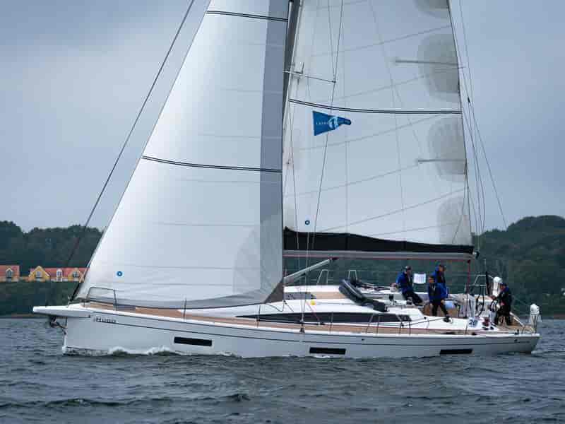 Photo of Hugo, image 1 of 5
