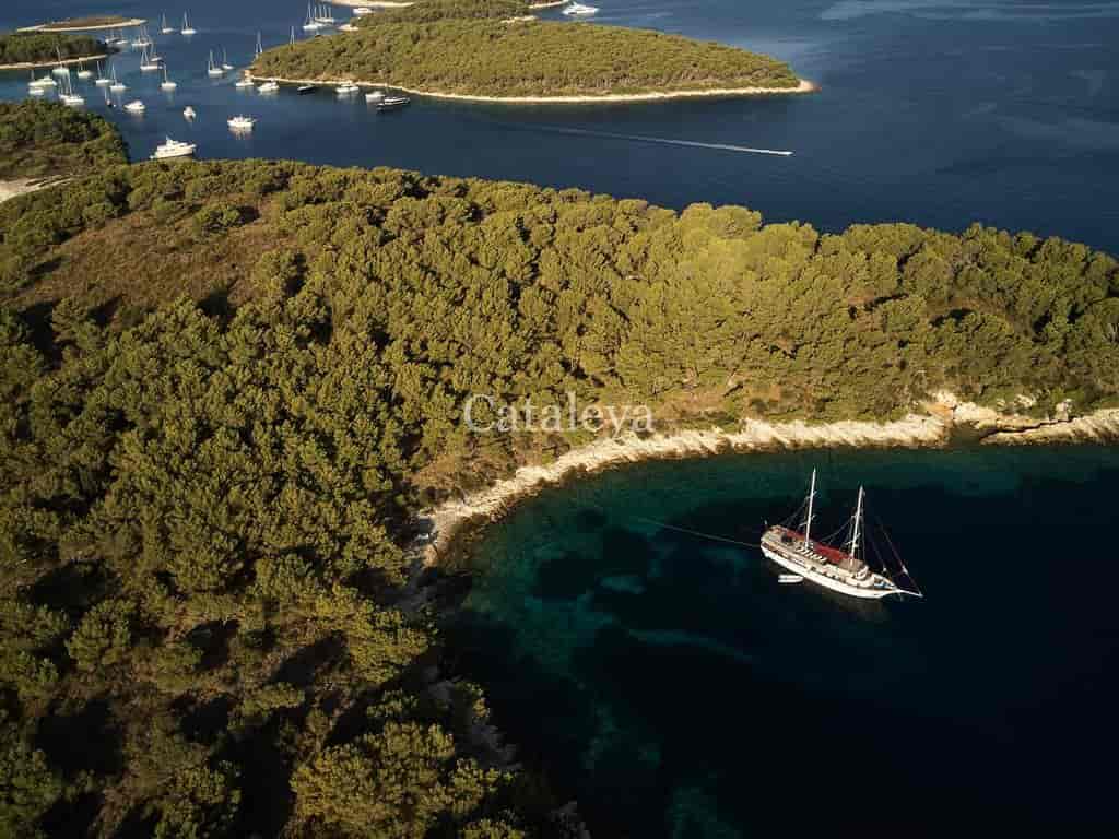 Boat picture 18