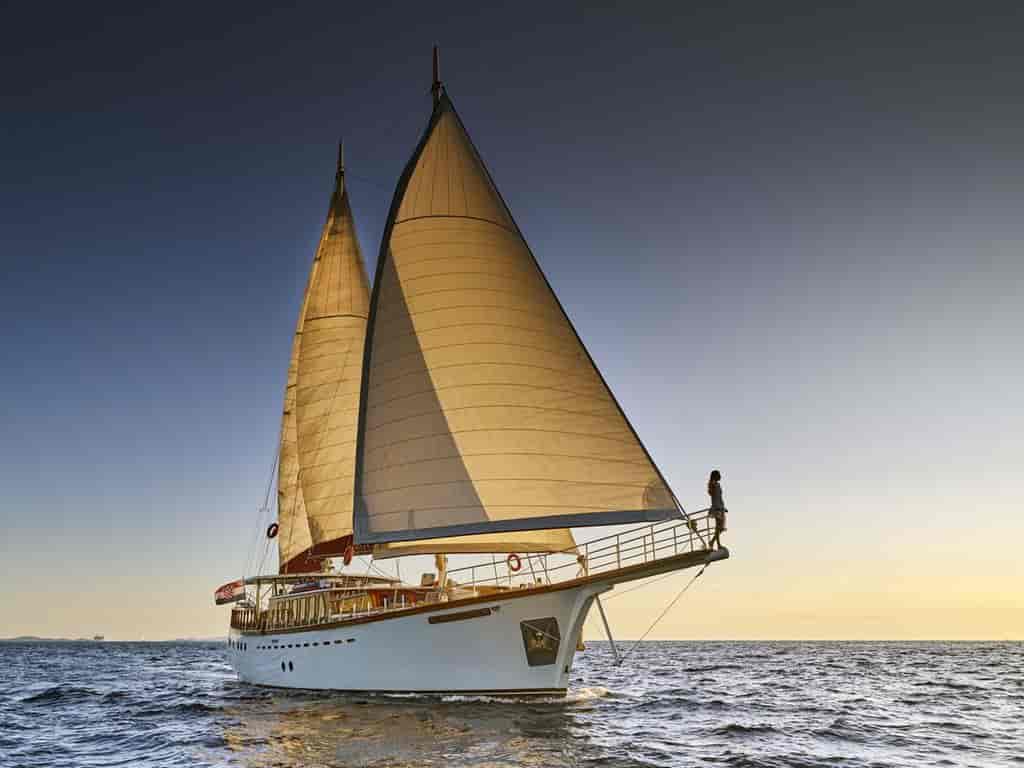 Photo 5 of Morning Star