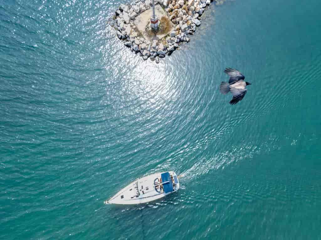 Boat picture 7