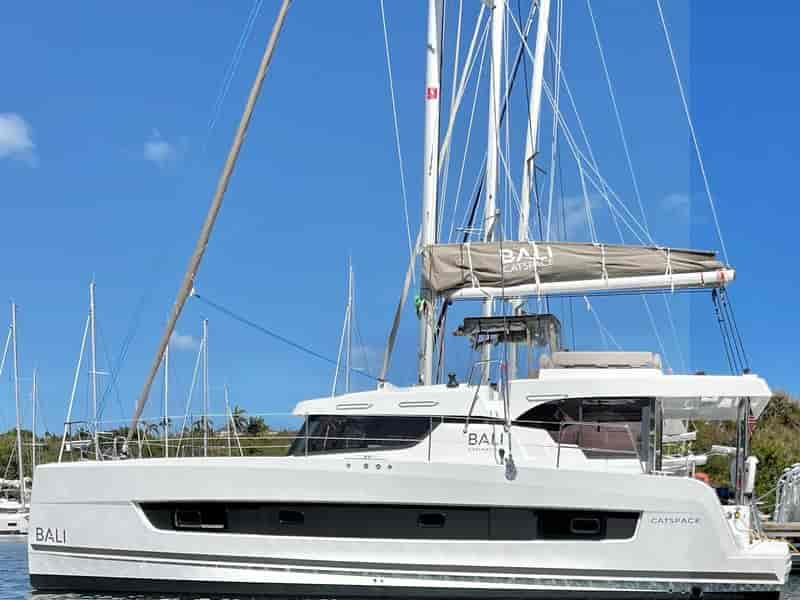 Photo 1 of Pinnacle Cat