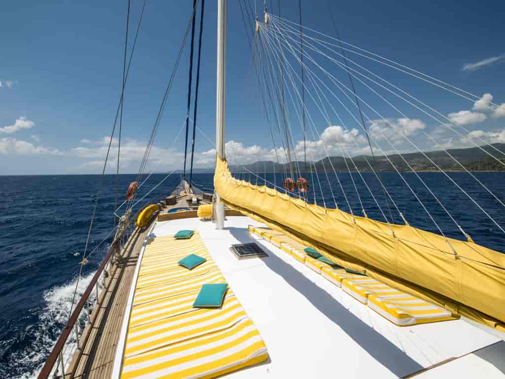 Boat picture 15