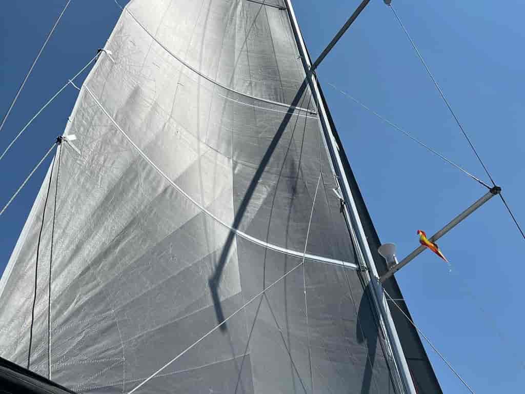 Boat picture 10