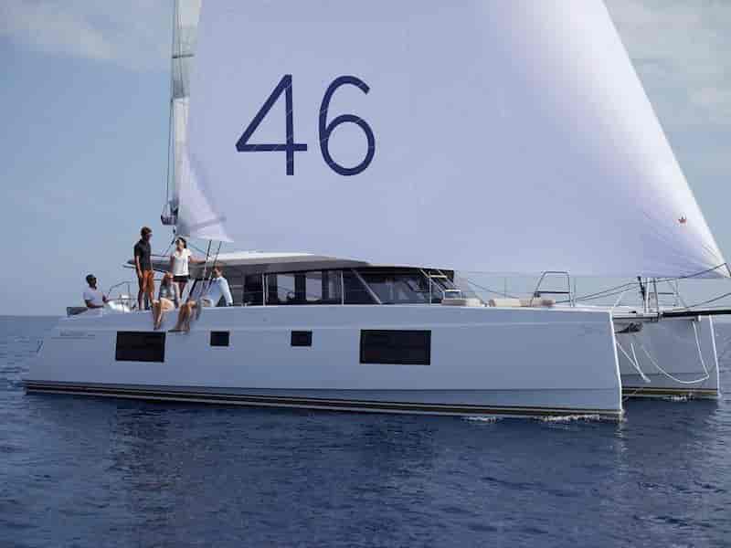 Photo of Dream (cat), image 1 of 5