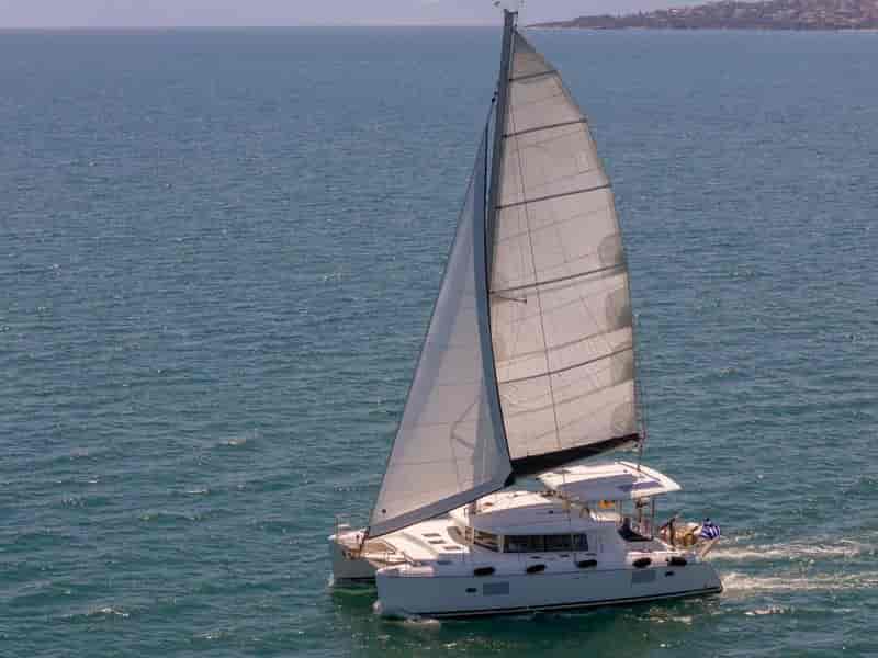 Photo of Amelia, image 1 of 5