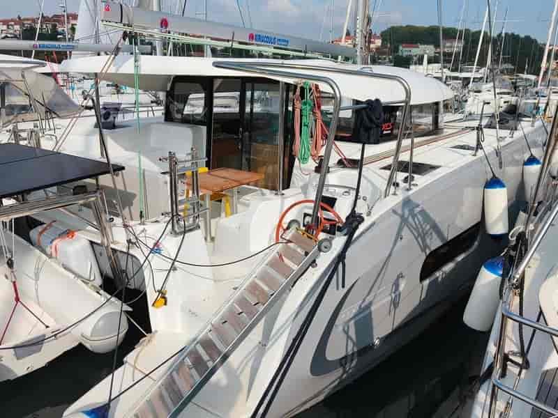 Photo of GINGER FIZZ V, image 1 of 5