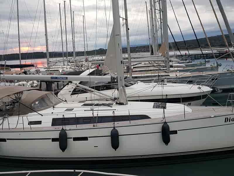 Photo of Diana, image 1 of 5