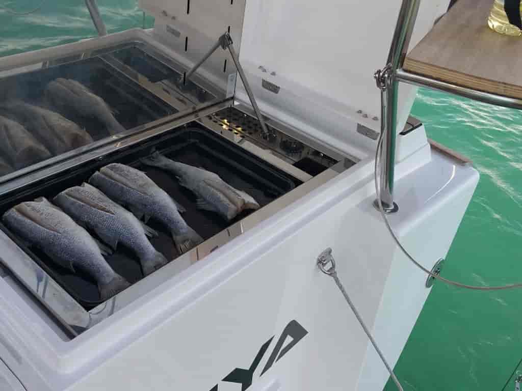Boat picture 8