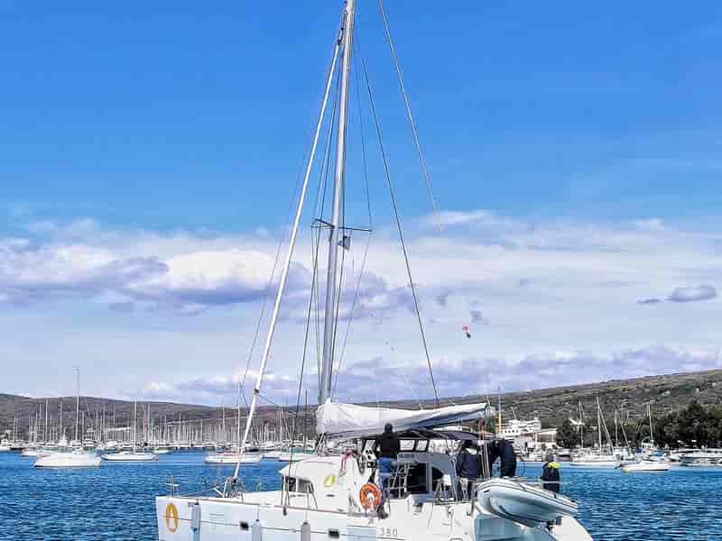 Photo of Xenia, image 1 of 5