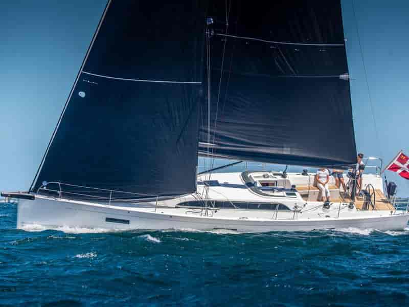 Photo of Gazelle, image 1 of 4