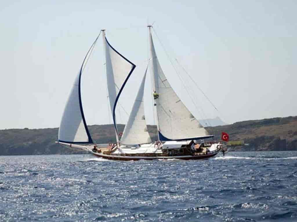 Photo 4 of Bibi Aysegul