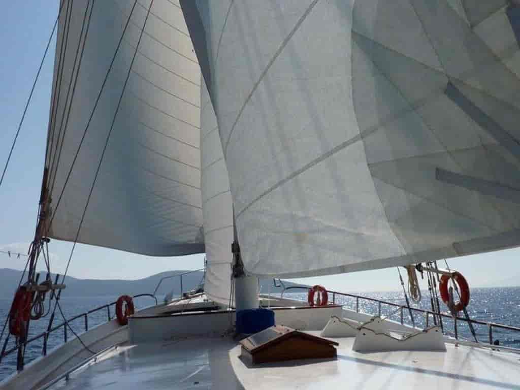 Photo 6 of Bibi Aysegul