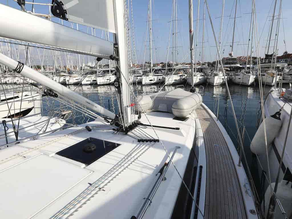 Photo 3 of Silver Seagull