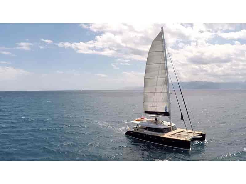 Photo of Anassa, image 1 of 3