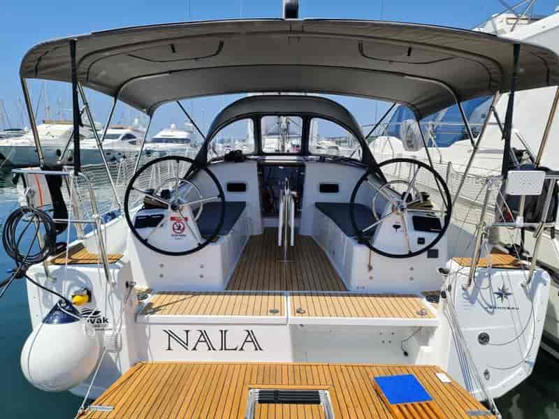 Photo of Nala, image 1 of 5