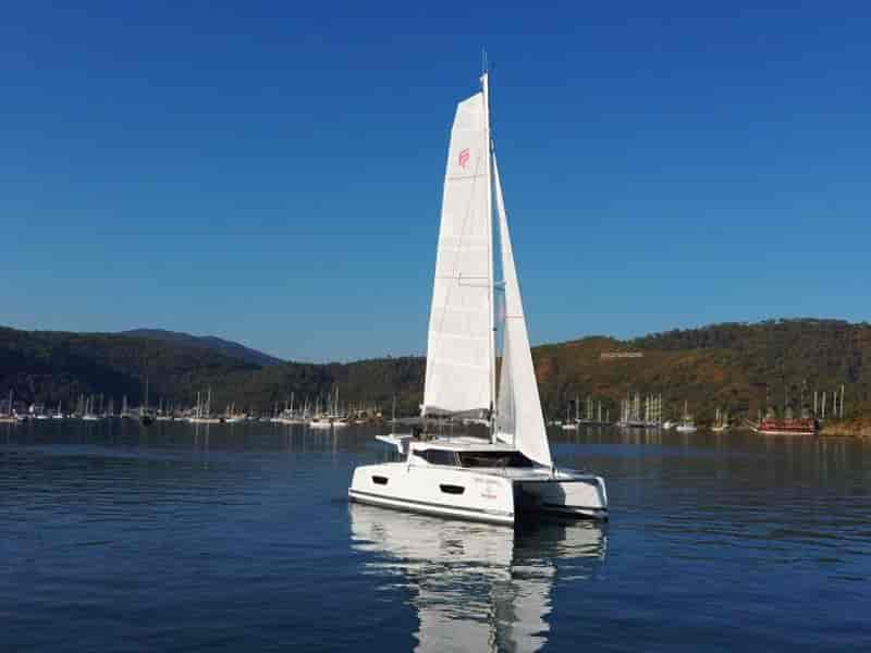 Photo of Blue Orion, image 1 of 5