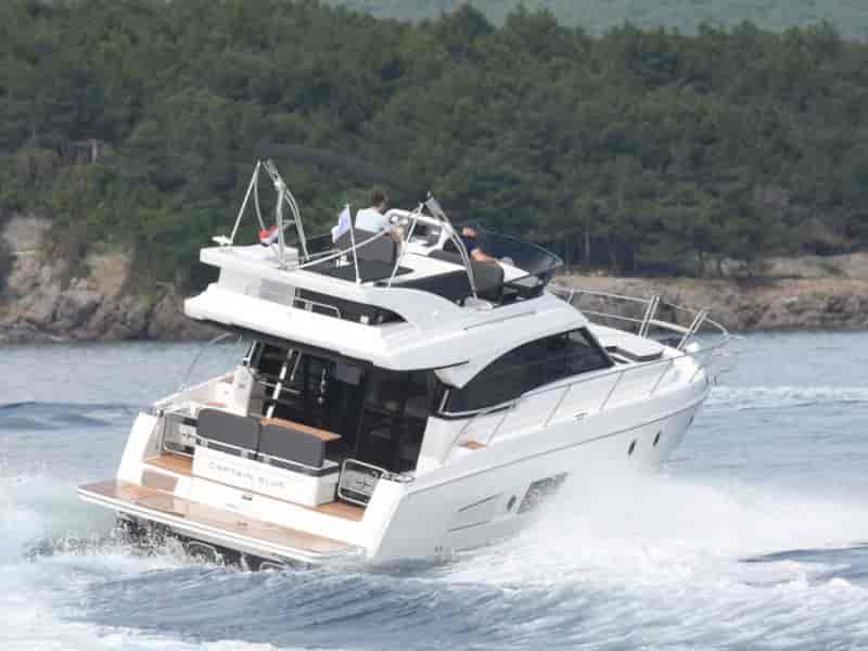 Photo of CAPTAIN BLUE, image 1 of 5