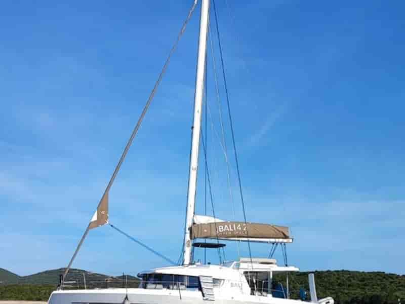 Photo of Ziphius, image 1 of 5