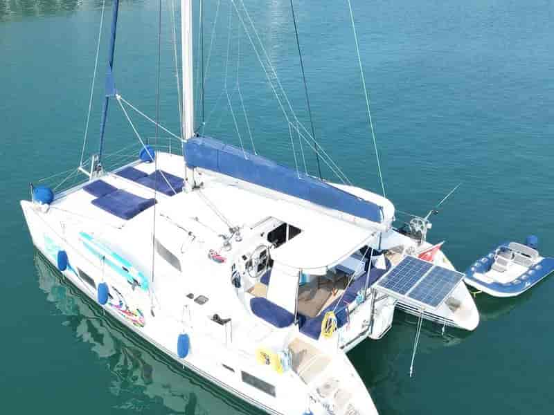 Photo of Aloha, image 1 of 5