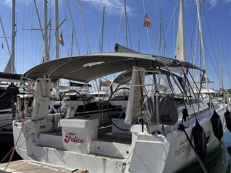Photo of Felice, image 1 of 5