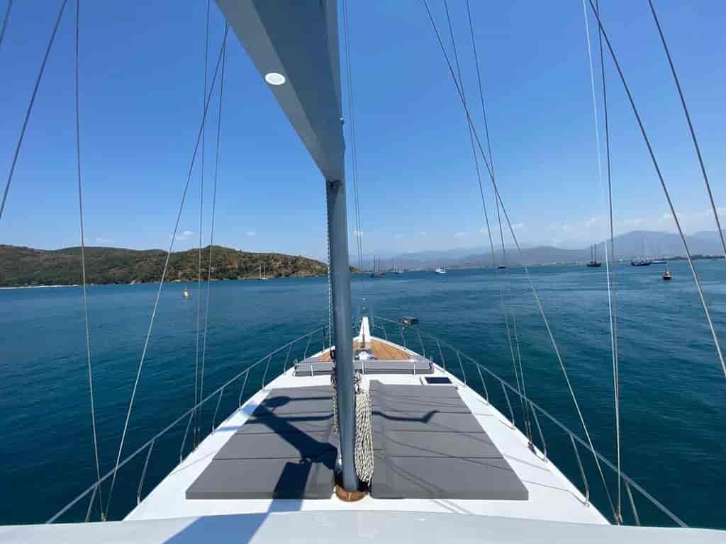 Photo 2 of Albatros M