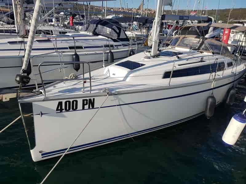 Photo of Theia, image 1 of 5