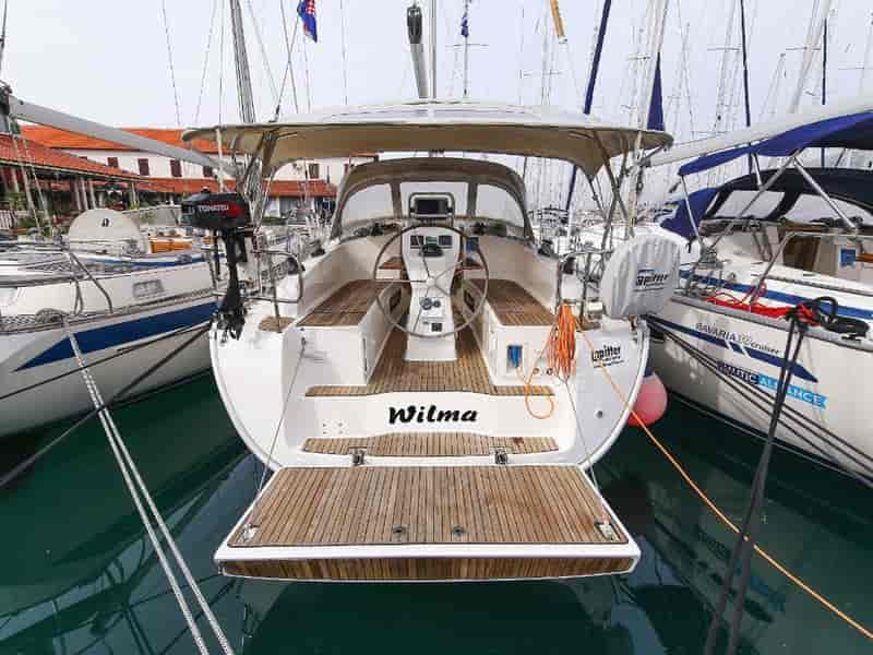Photo of Wilma, image 1 of 5