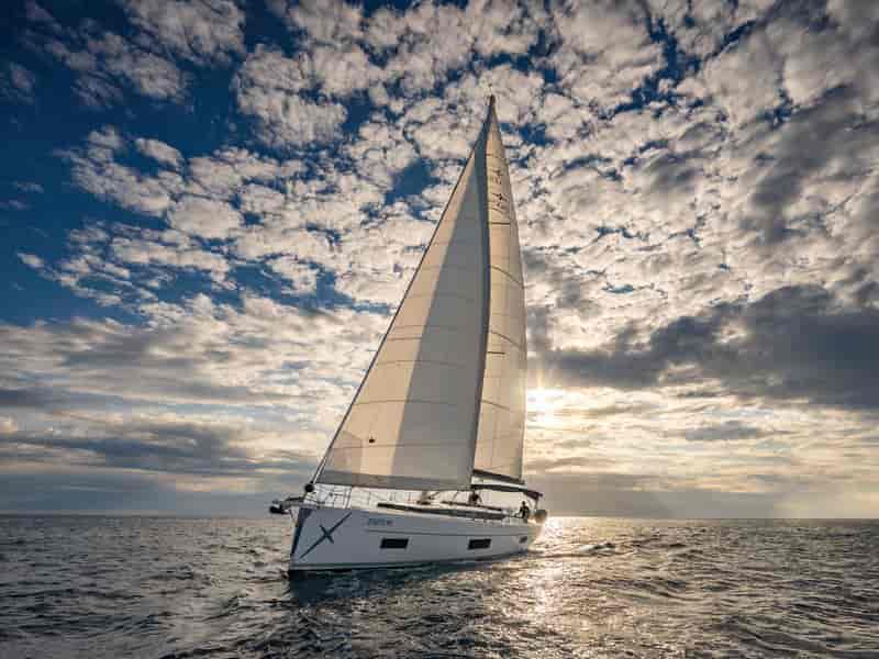 Photo of Aria, image 1 of 5