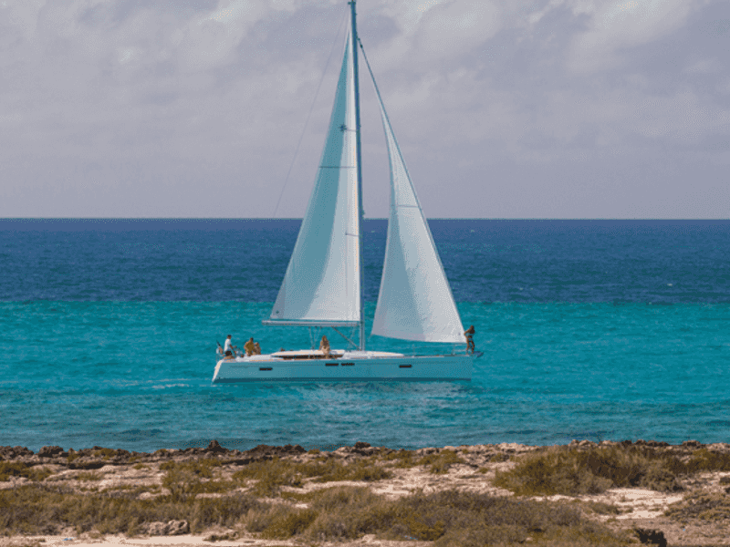 Photo of Phat Dolphin, image 1 of 5