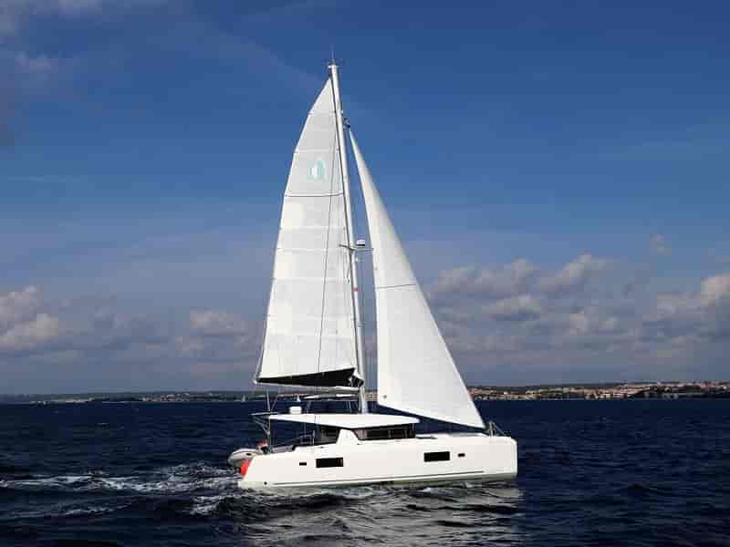 Photo of Da Vinci, image 1 of 5